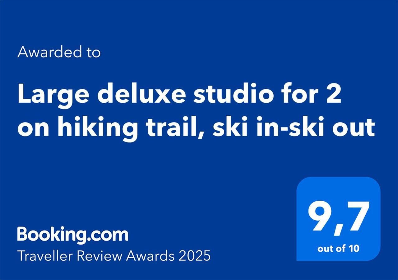 Large Deluxe Studio For 2 - Chalet Lovo Lenk Ngoại thất bức ảnh